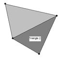 modeling 3D objects out of smaller components called “tris” or “polys”