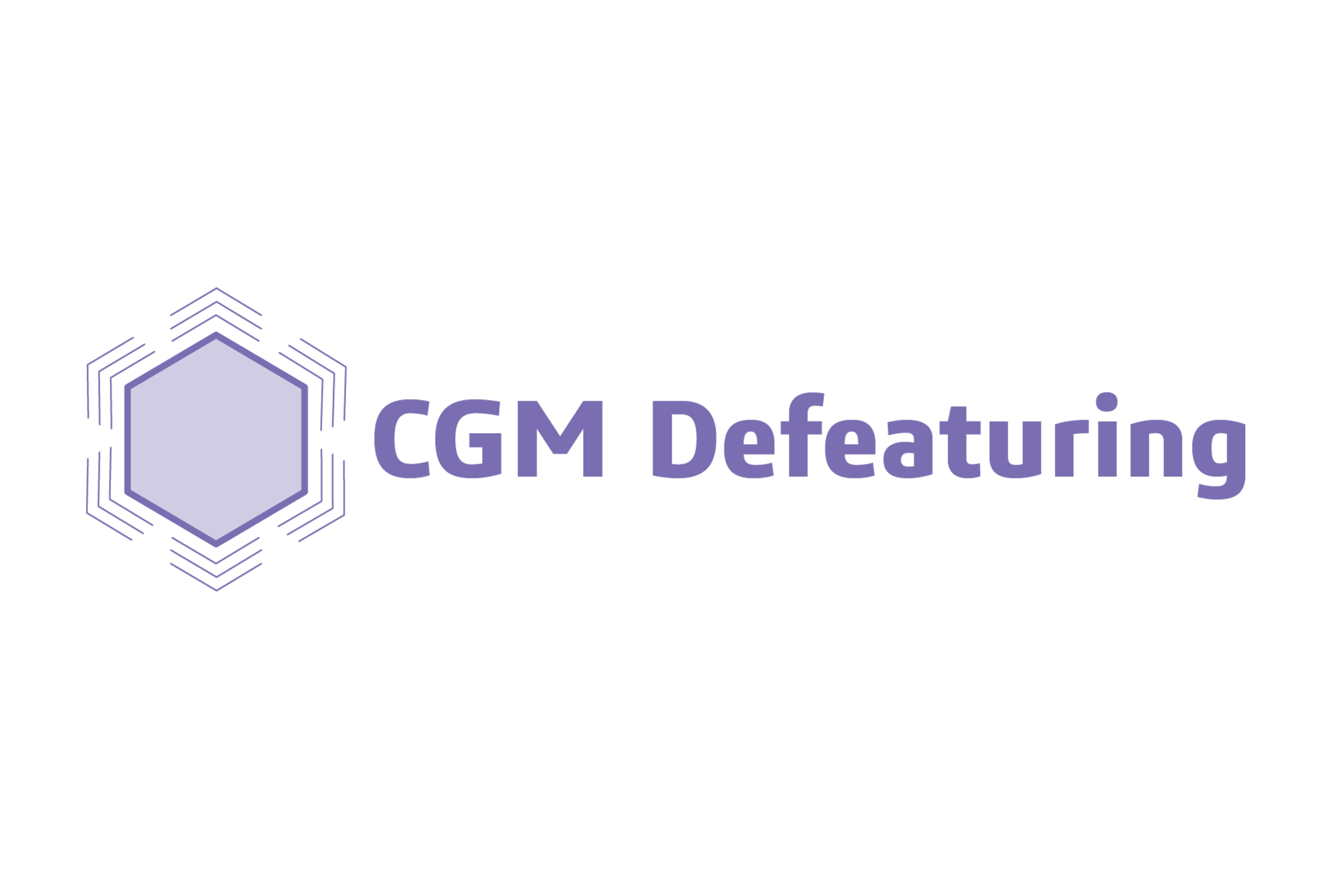 CGM Defeaturing